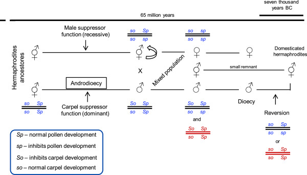 Figure 12