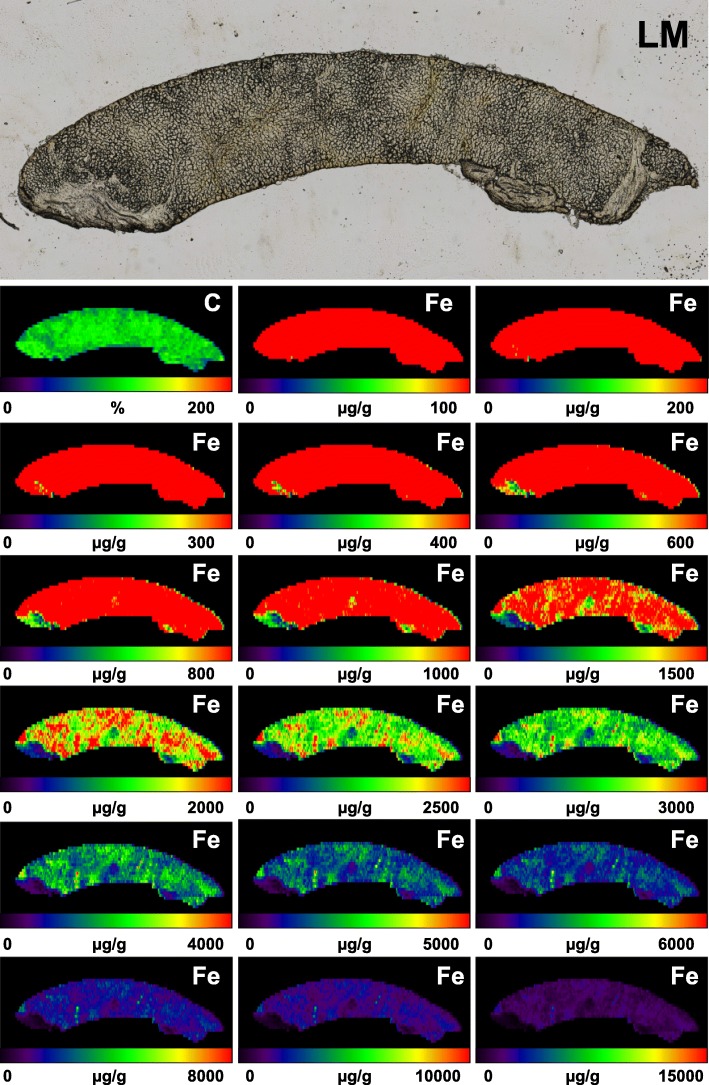 Fig. 6