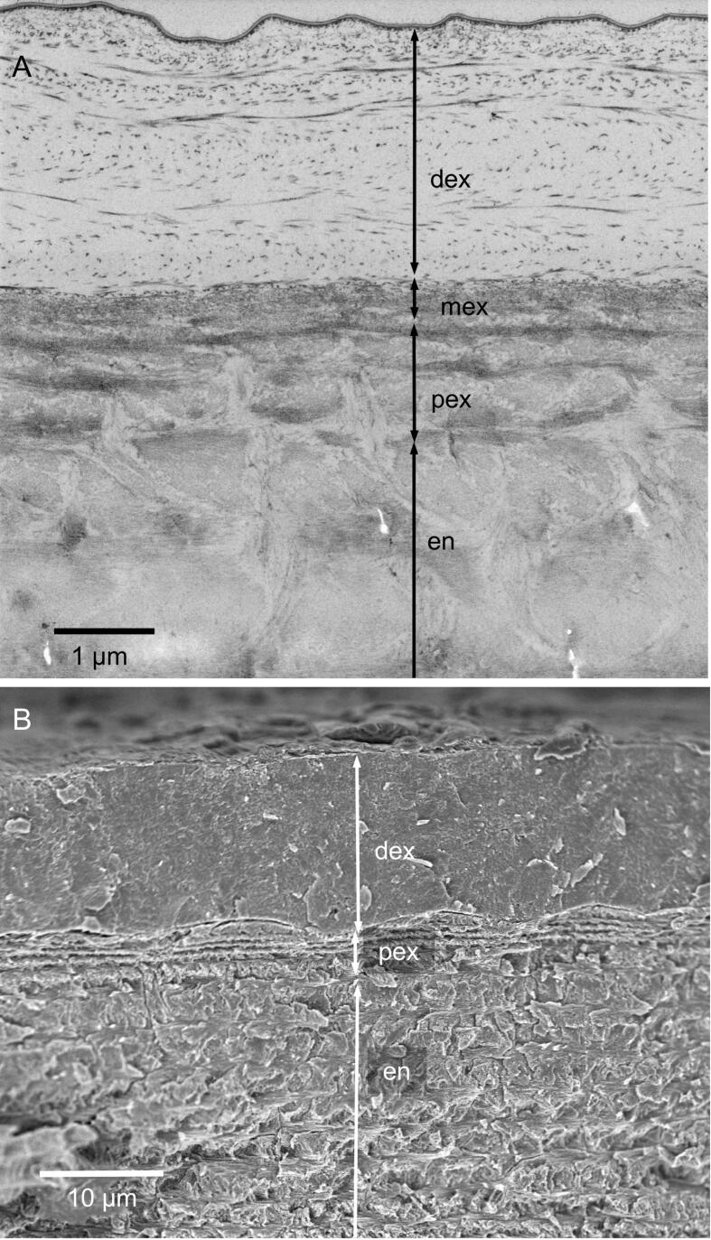 Fig. 14