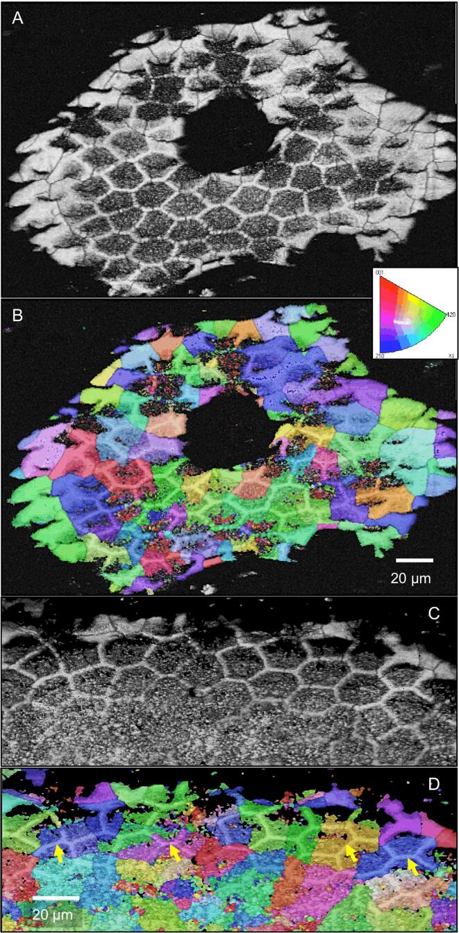 Fig. 13