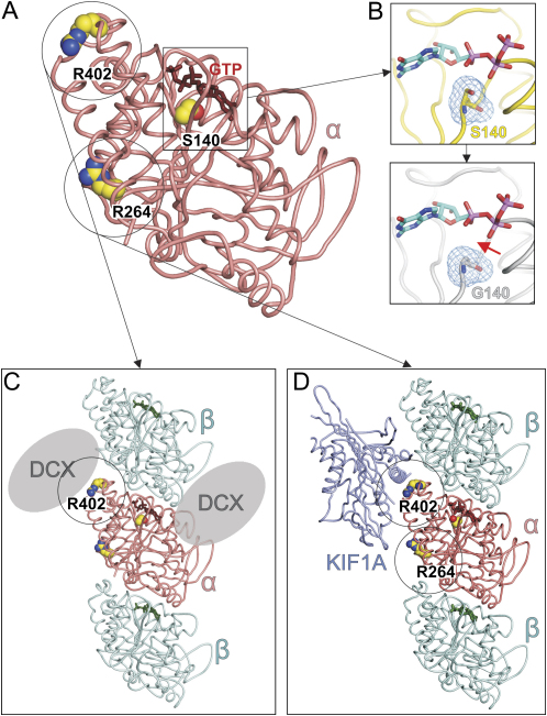 Figure 7