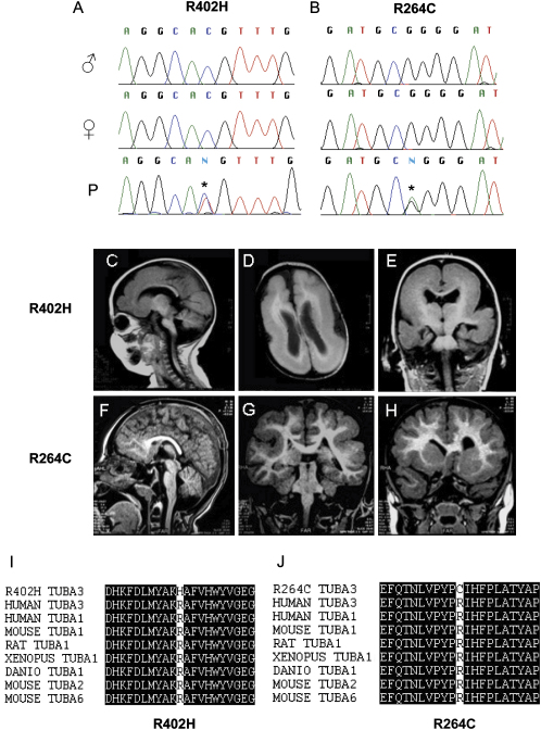 Figure 6