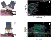 Figure 1: