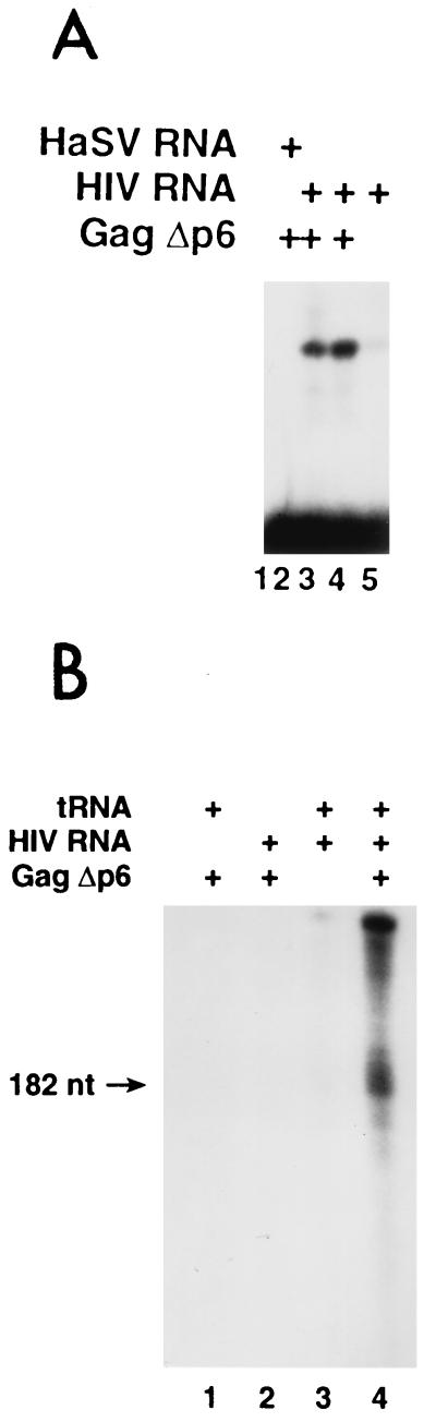 FIG. 5