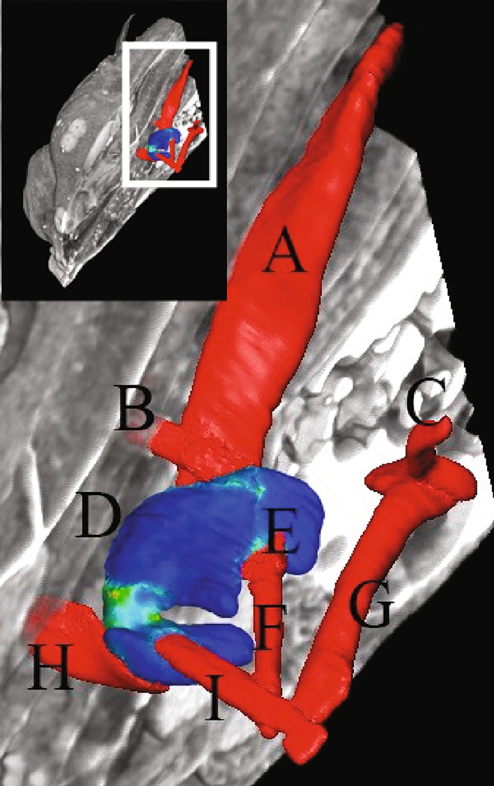 Fig. 1