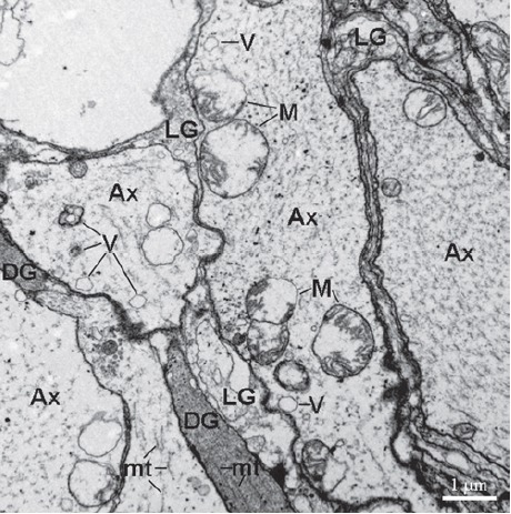 Figure 5.