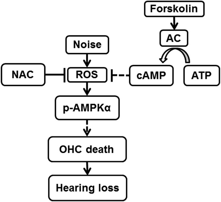 Fig. 10