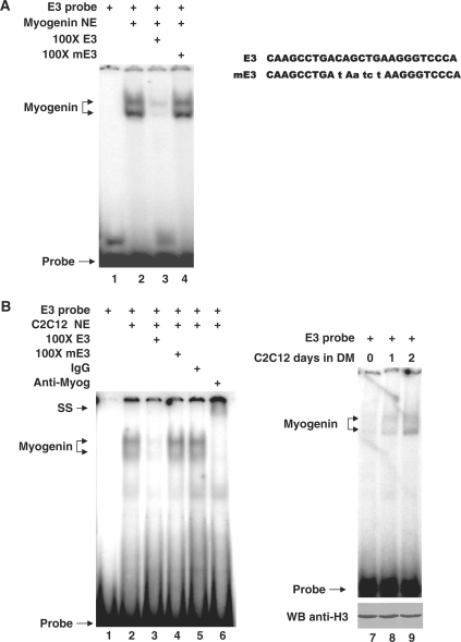 Figure 6.