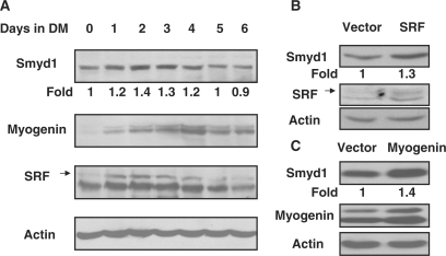 Figure 3.