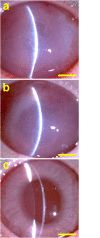 Fig 7