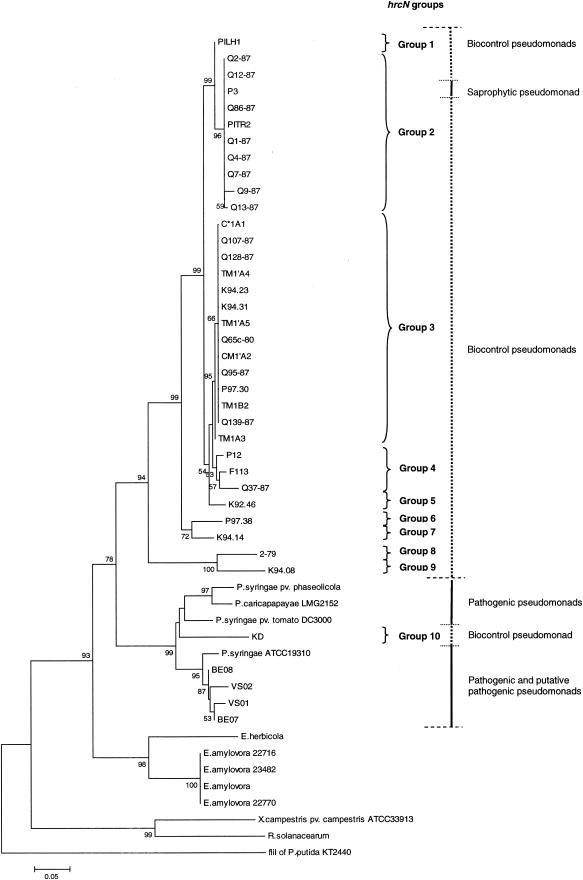 FIG.2.