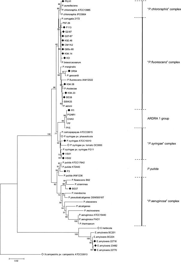 FIG.3.