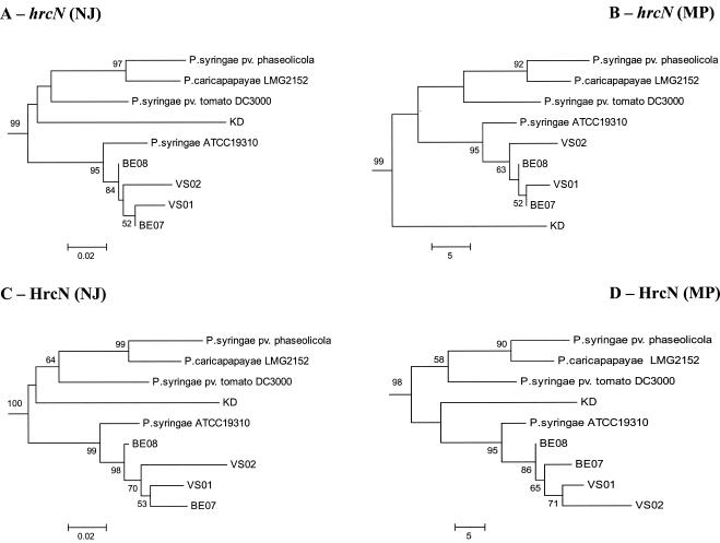 FIG. 4.