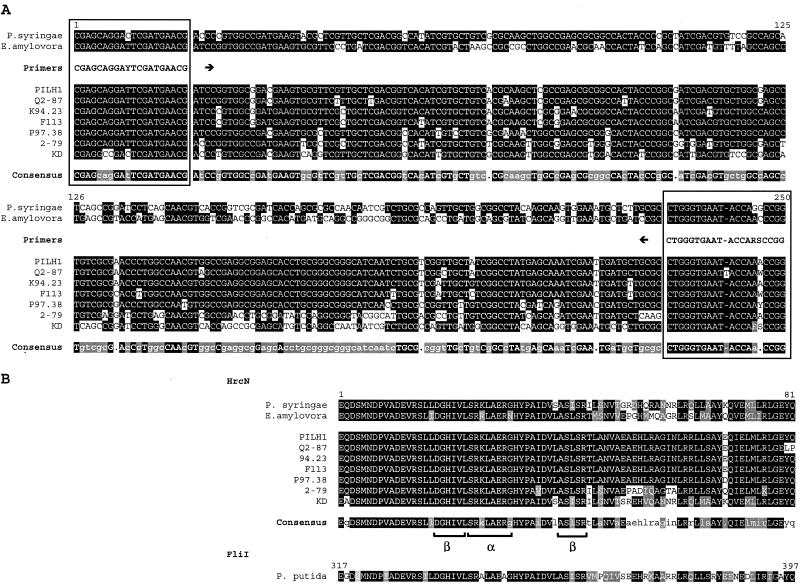 FIG.1.