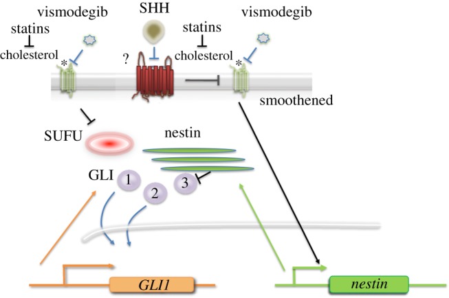 Figure 3.