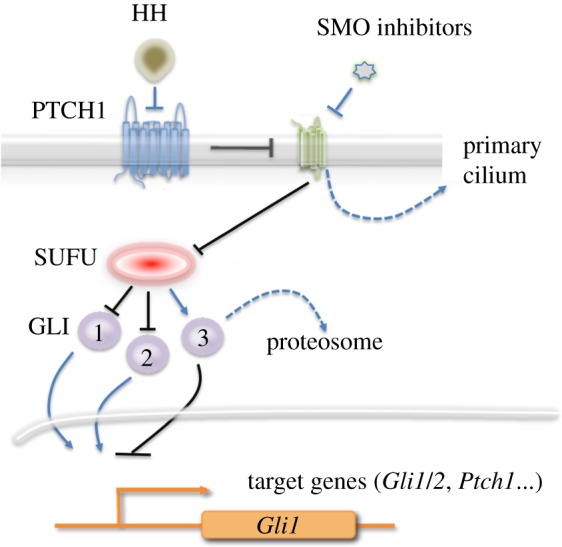 Figure 2.