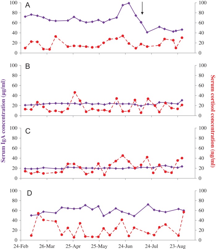 Figure 4: