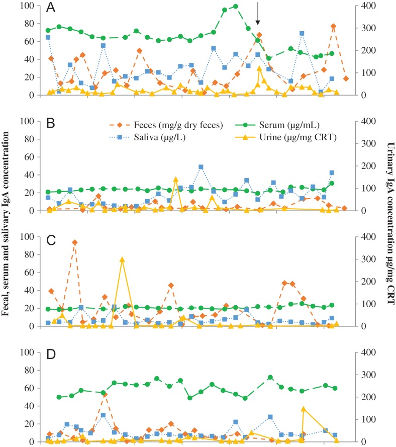 Figure 5: