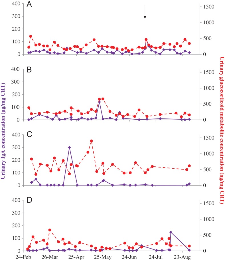 Figure 3: