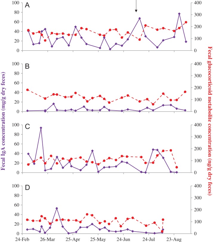 Figure 1: