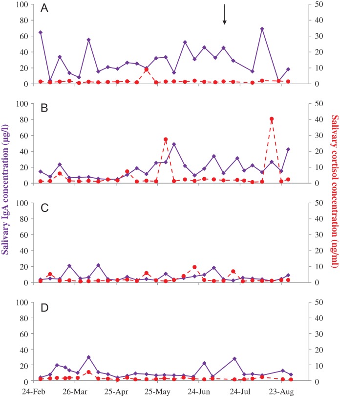 Figure 2: