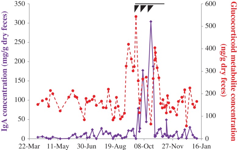 Figure 6: