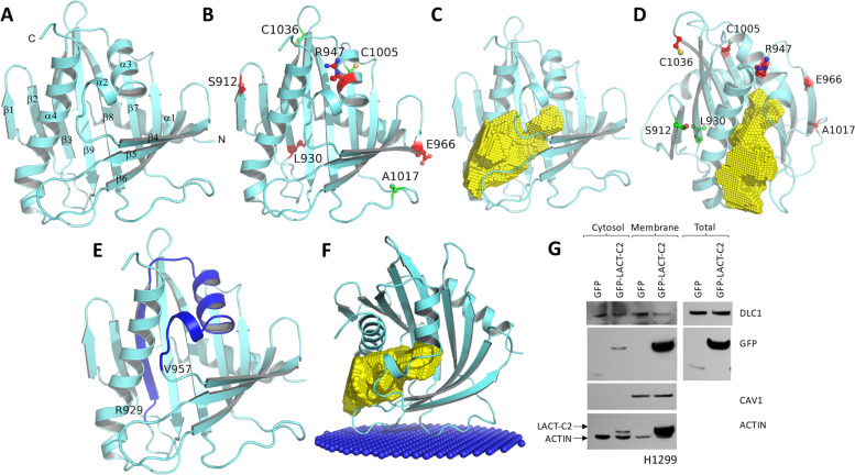 Fig. 7