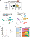 Figure 1. A, Schematic representation of study design. B–C, UMAP representation of dimensionally reduced data following batch-corrected graph-based clustering of all data sets colored by (B) samples and (C) cell type. D, Dot plot depicting average expression levels of specific lineage-based marker genes together with the percentage of cells expressing the marker. E, Proportion of cell types detected from each sample. B–E, Data from seven mCRCs, five paired normal liver tissue and two paired PBMCs.