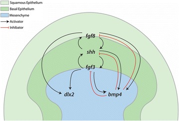 Fig. 11