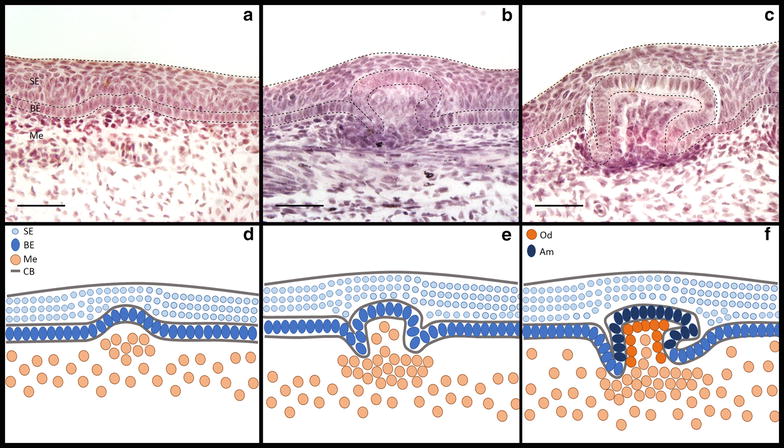 Fig. 3