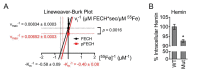 Figure 5—figure supplement 1.