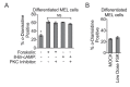 Figure 3—figure supplement 1.