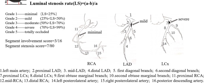 Fig. 1