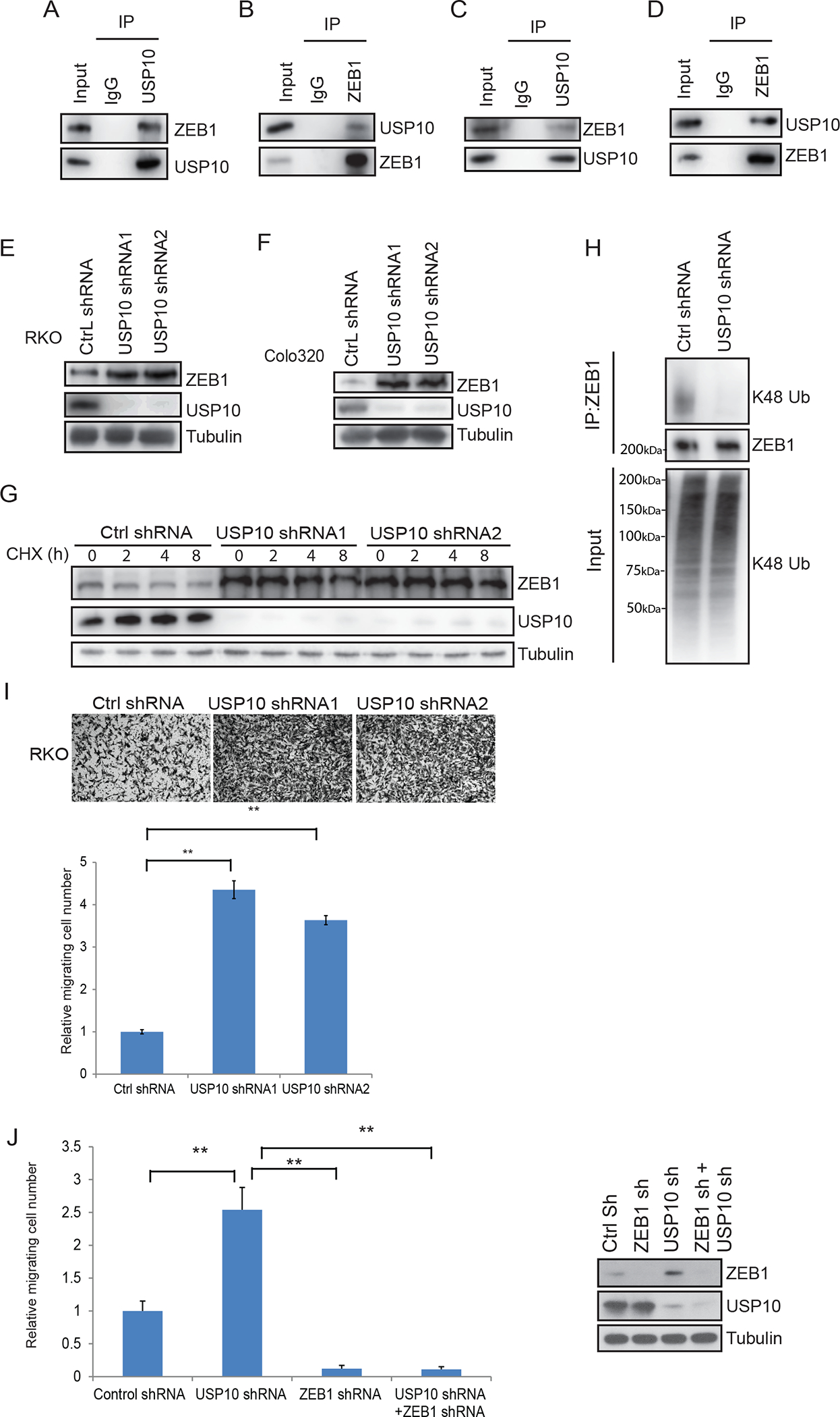 Fig.2.