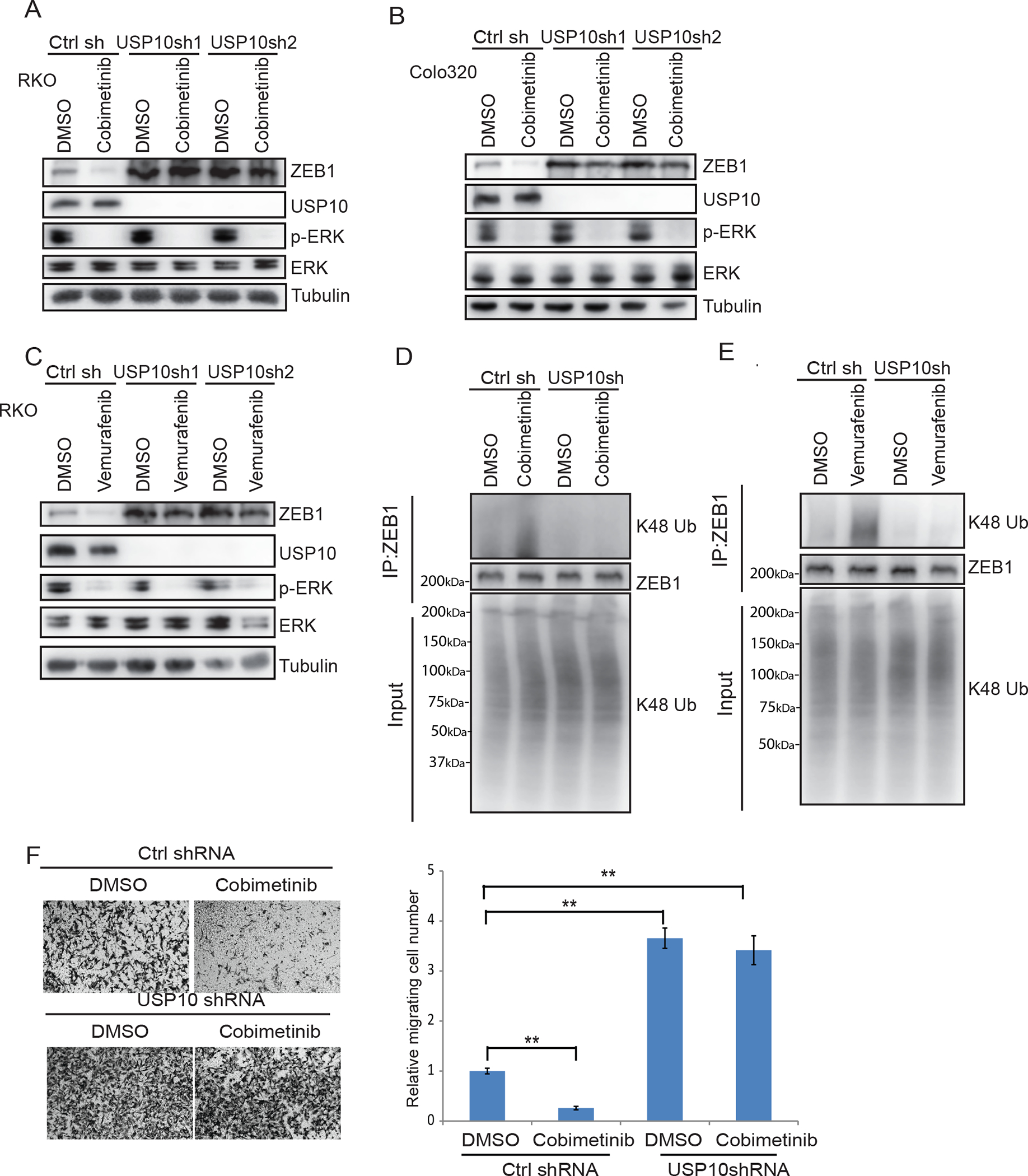 Fig.4.