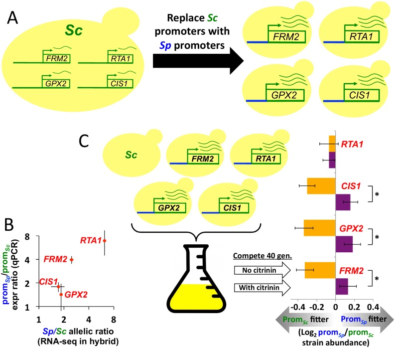 Fig 5