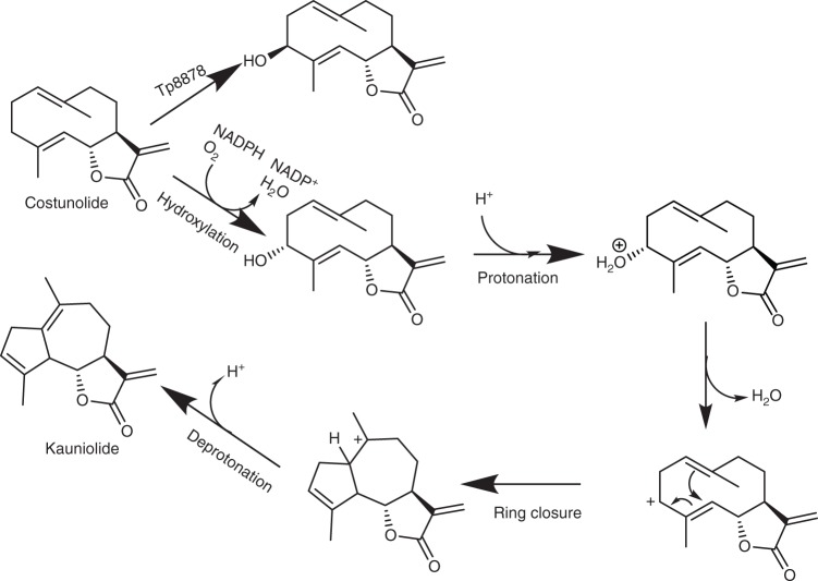 Fig. 7