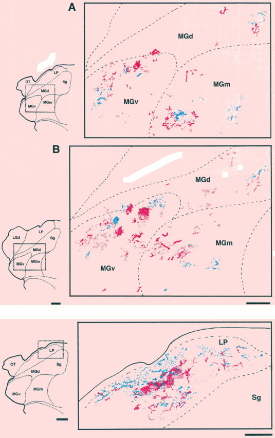 Fig. 6.