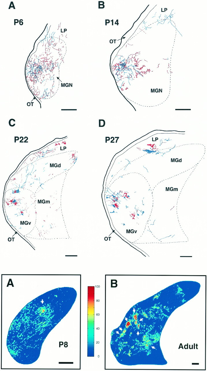 Fig. 10.