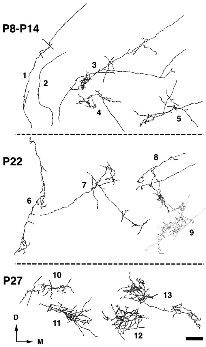 Fig. 9.