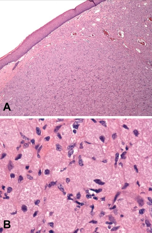 Figure 3)