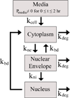 Scheme 3