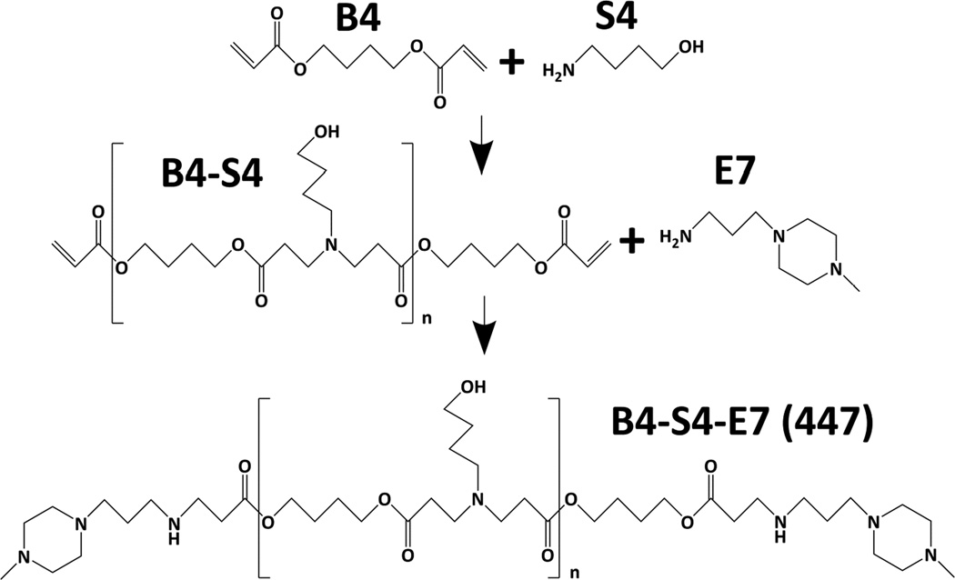 Scheme 2