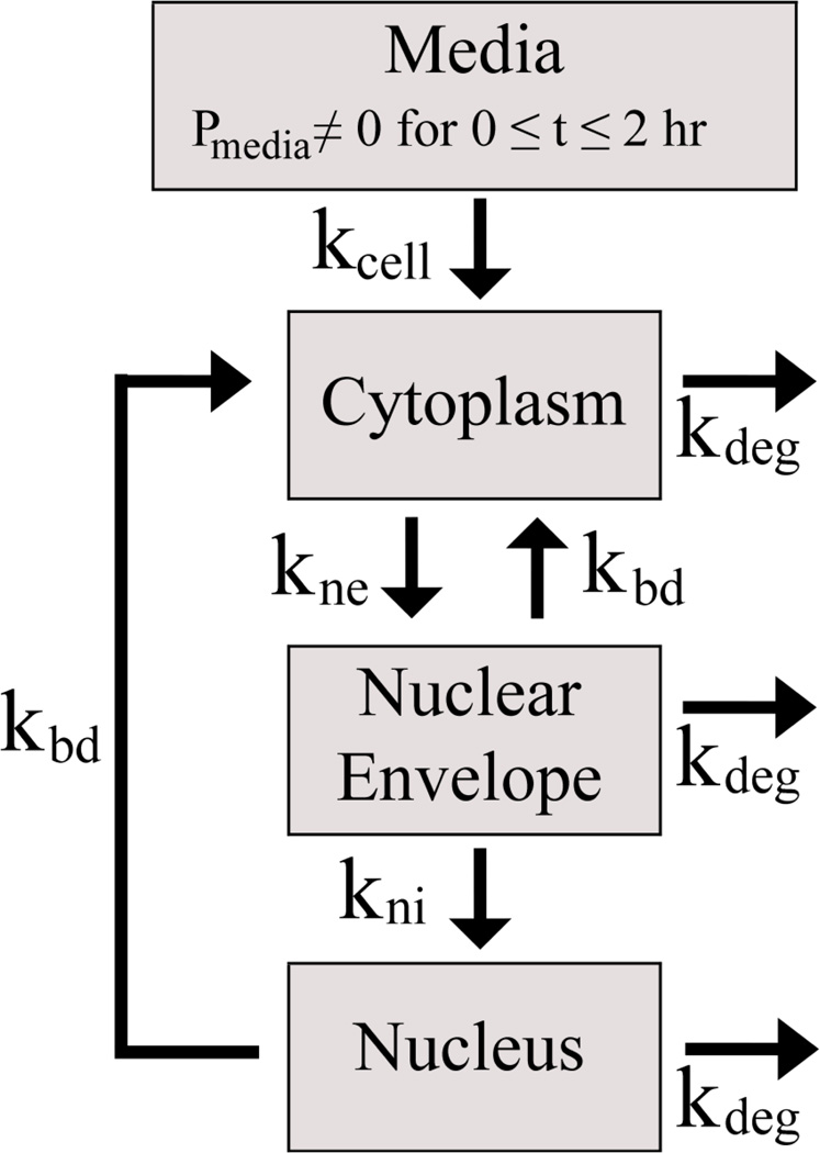 Scheme 3