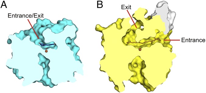 Fig. 2.