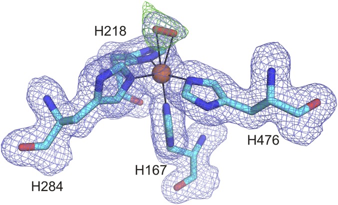 Fig. S1.