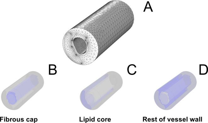 Figure 5—figure supplement 1.