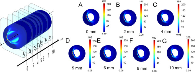 Figure 5—figure supplement 3.