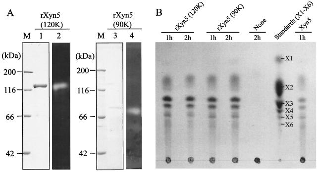 FIG. 3.