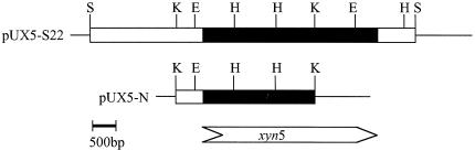 FIG. 1.